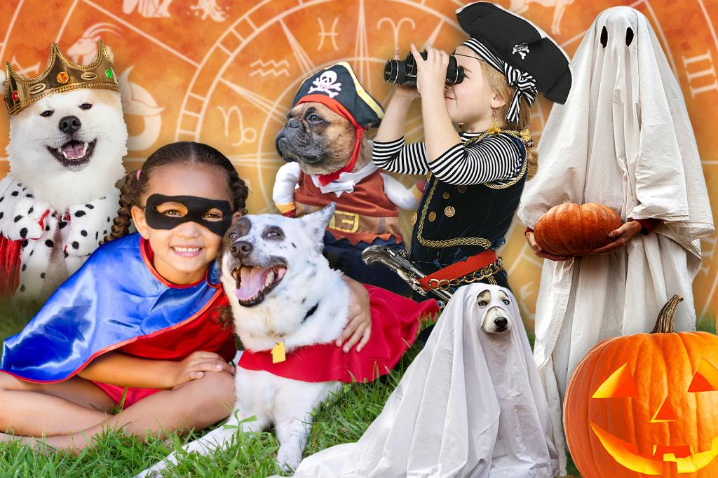 Forget couple costumes - dress up as your dog this Halloween